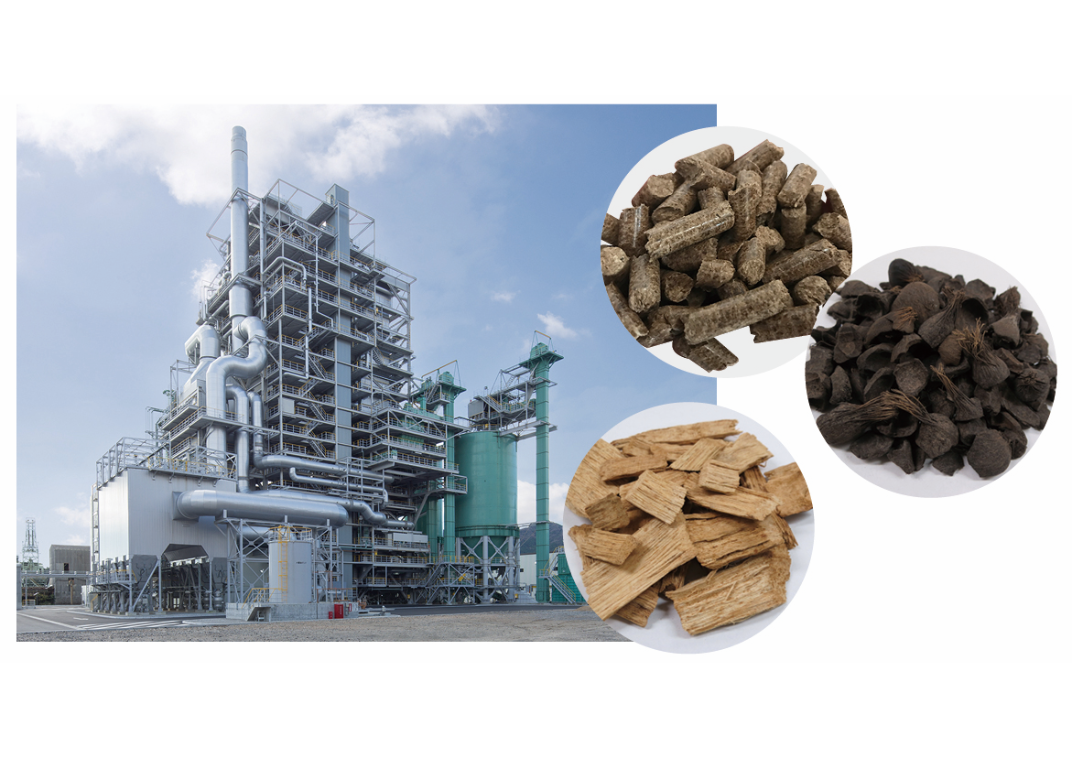 Power plant and biomass fuel