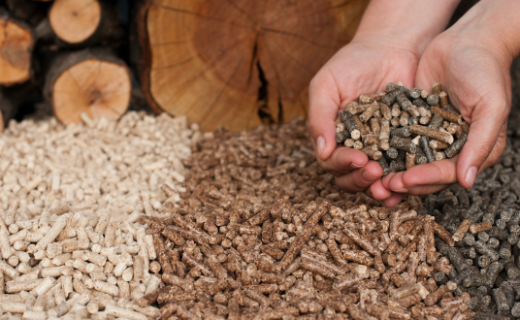 Stable Supply of Biomass Fuel