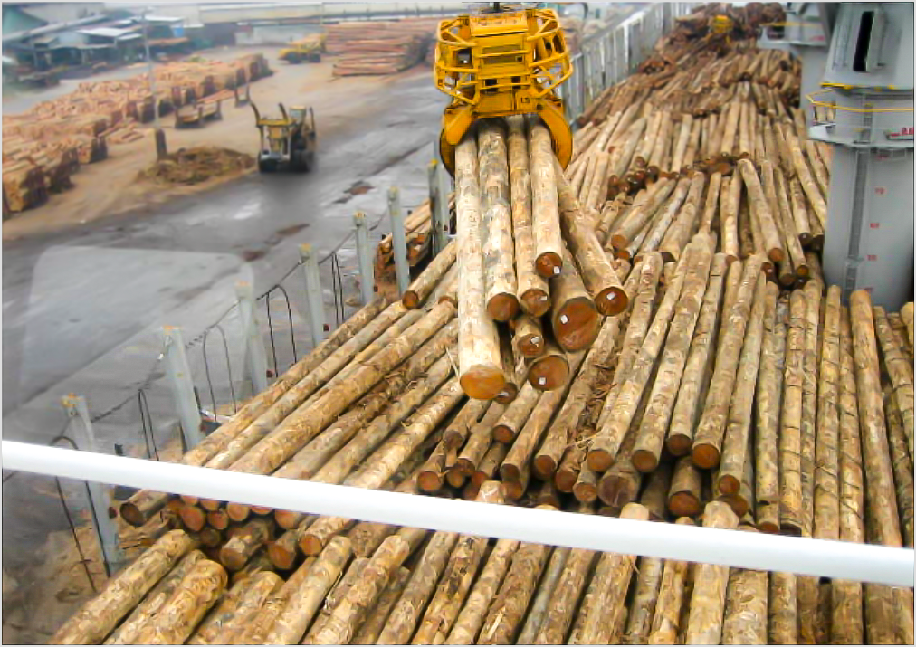 Logs being loaded onto ships