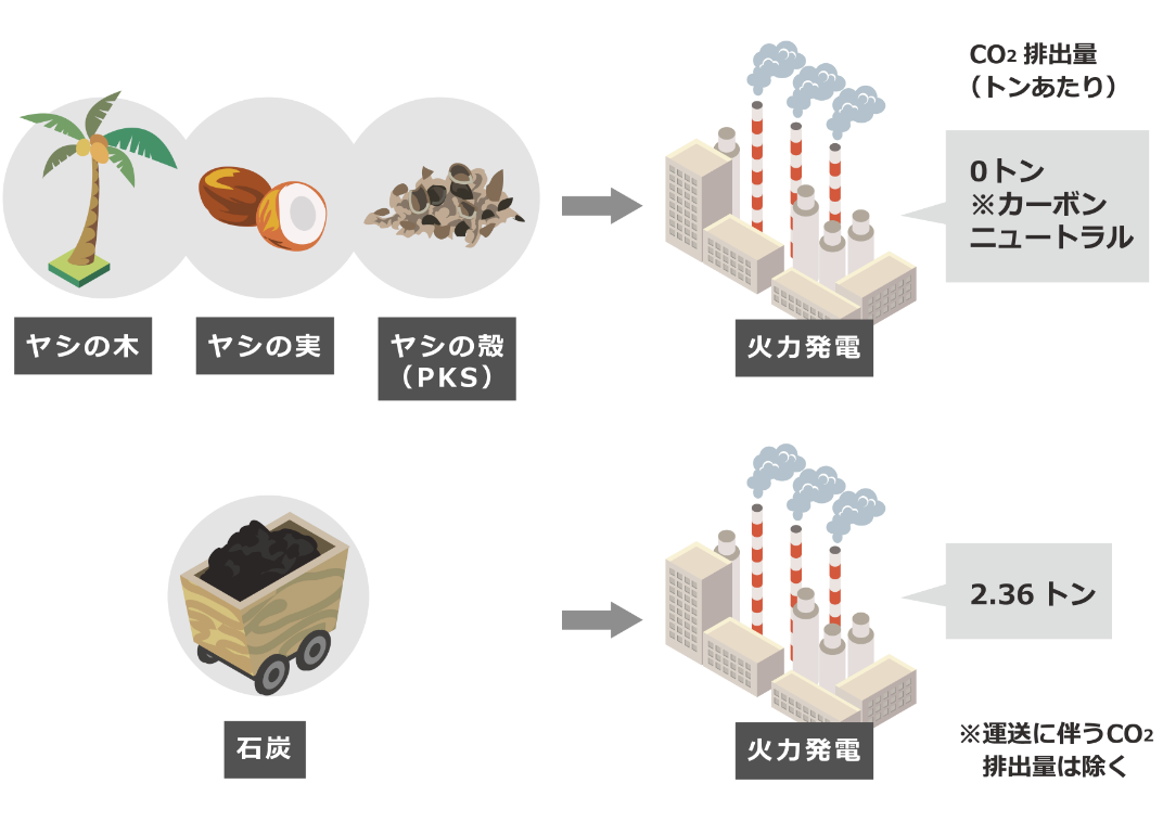 PKSと石炭を比較したときのCO2排出量