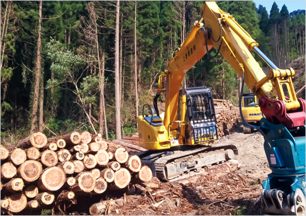 Logging site